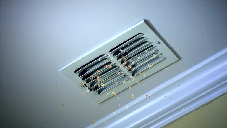 Ductwork Cleaning Services in Bayou Vista, TX